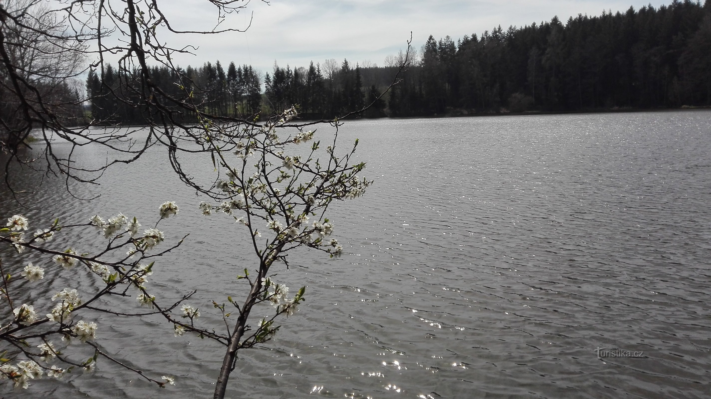 Hejlovský pond.