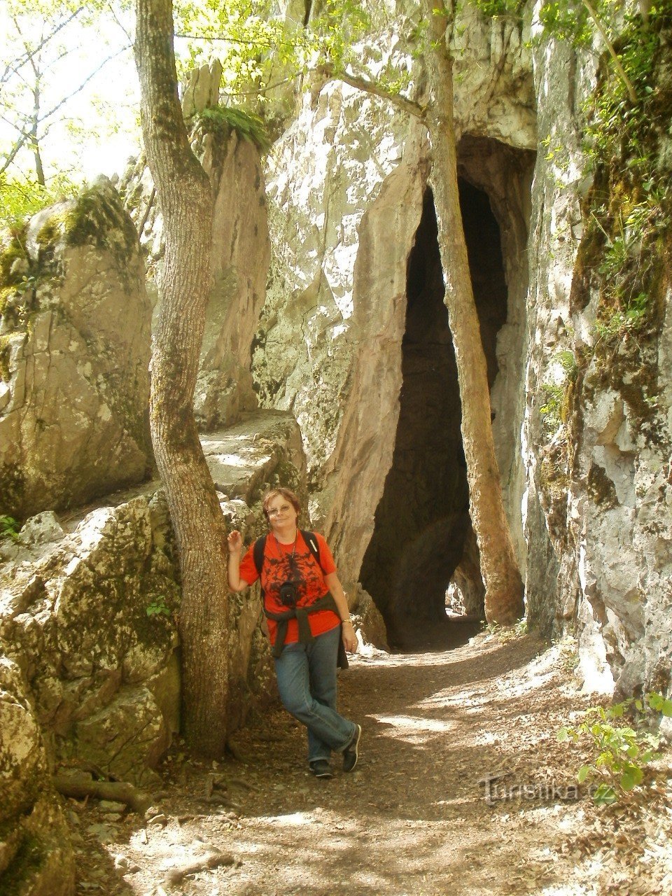 Helixpomatia near the cave