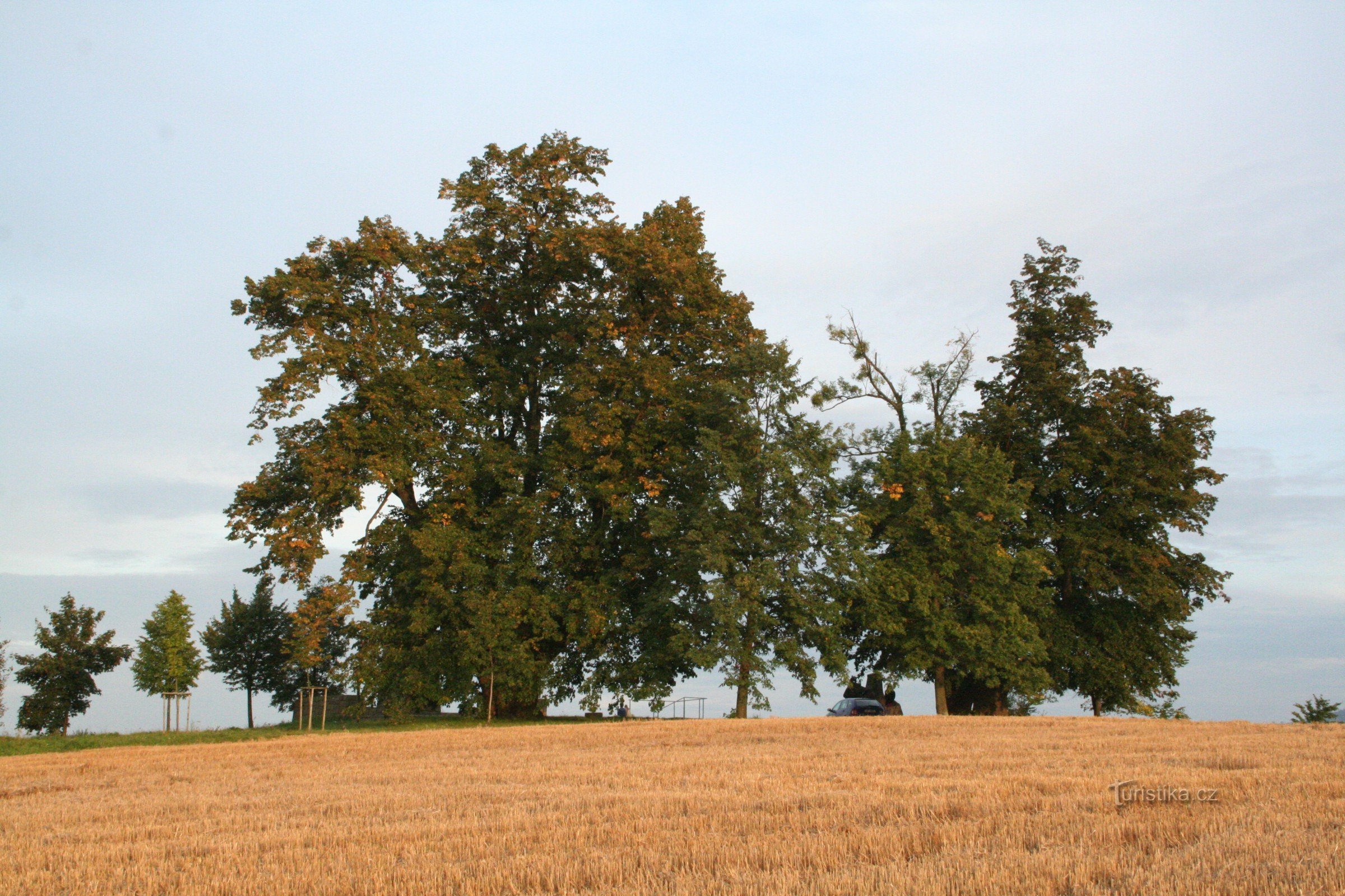 Helstein lindens