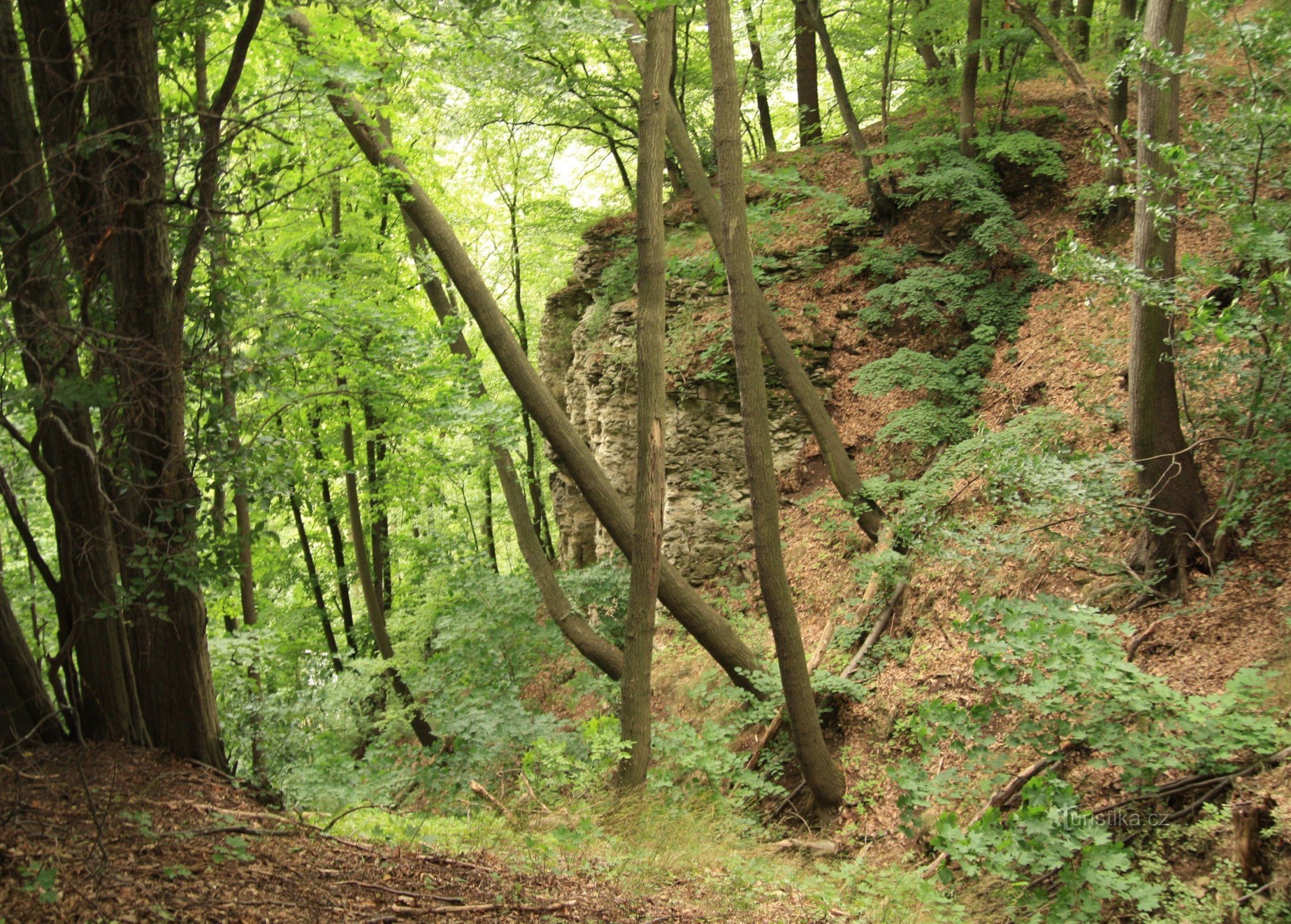 Hemže-Mýtkov - nature reserve