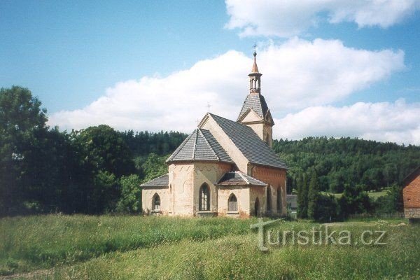 Kamille in Podještědí