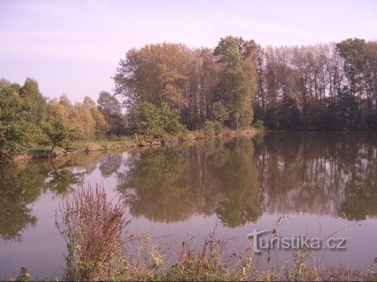 Heřmanický dam