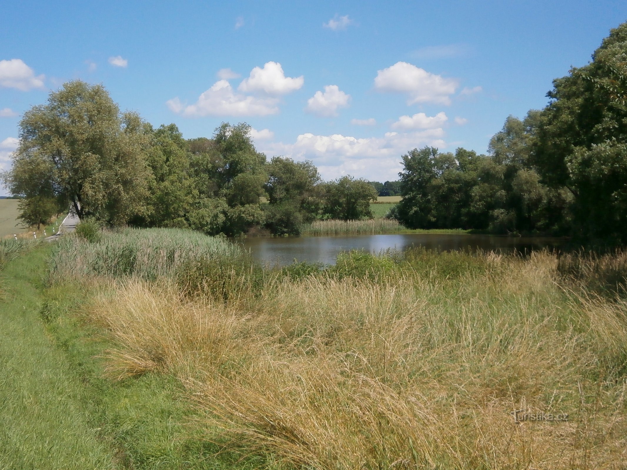 Heřmanický dam (Vestec)