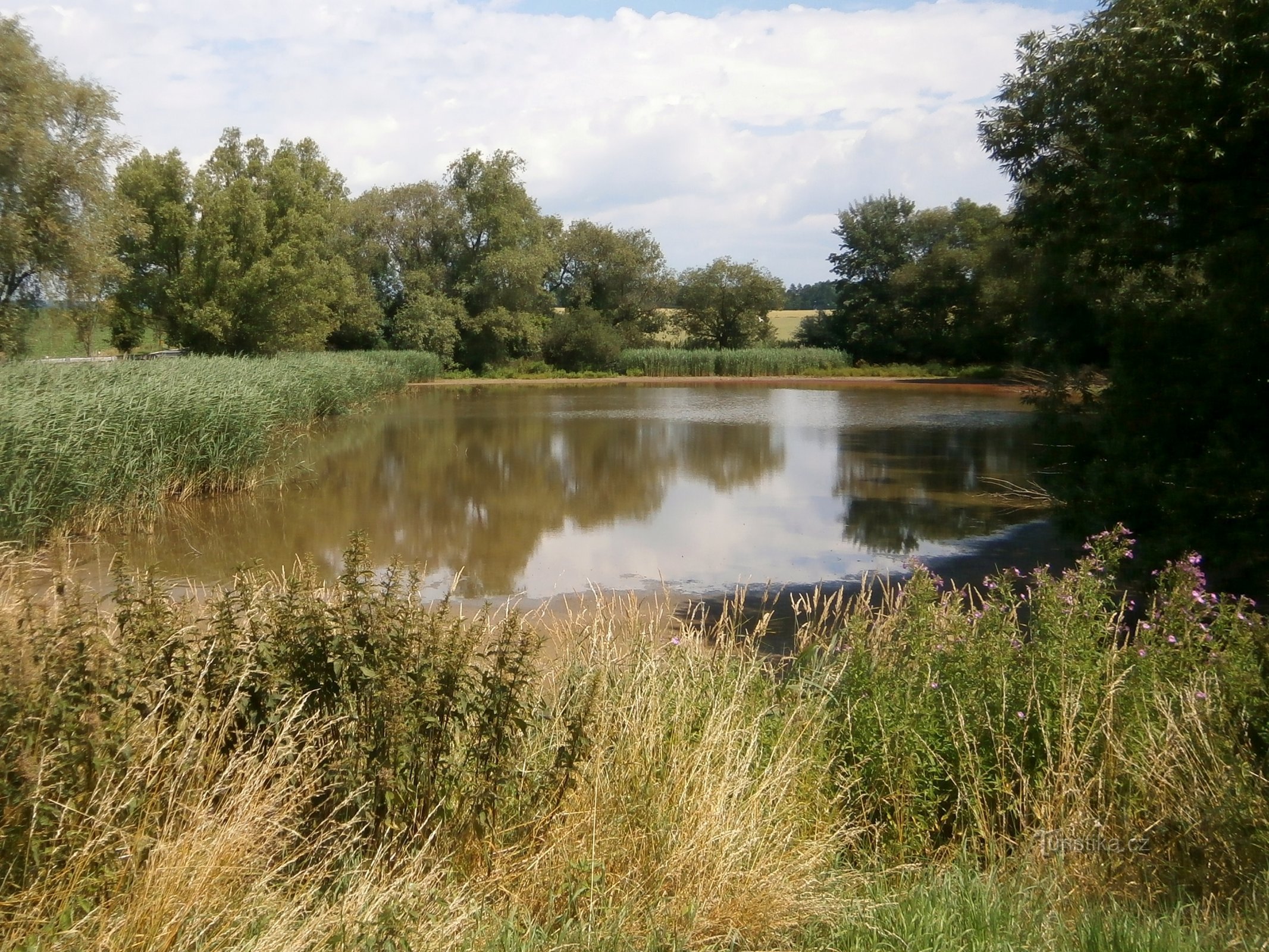 Heřmanický pond (Vestec)