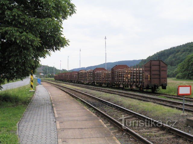 Kamille, platform