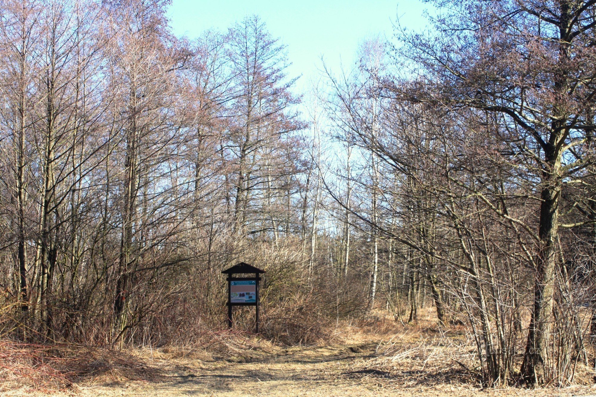 Heřmanov - un monumento naturale