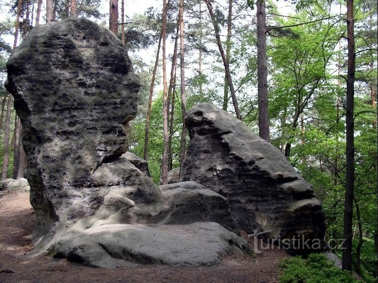 glava i žaba