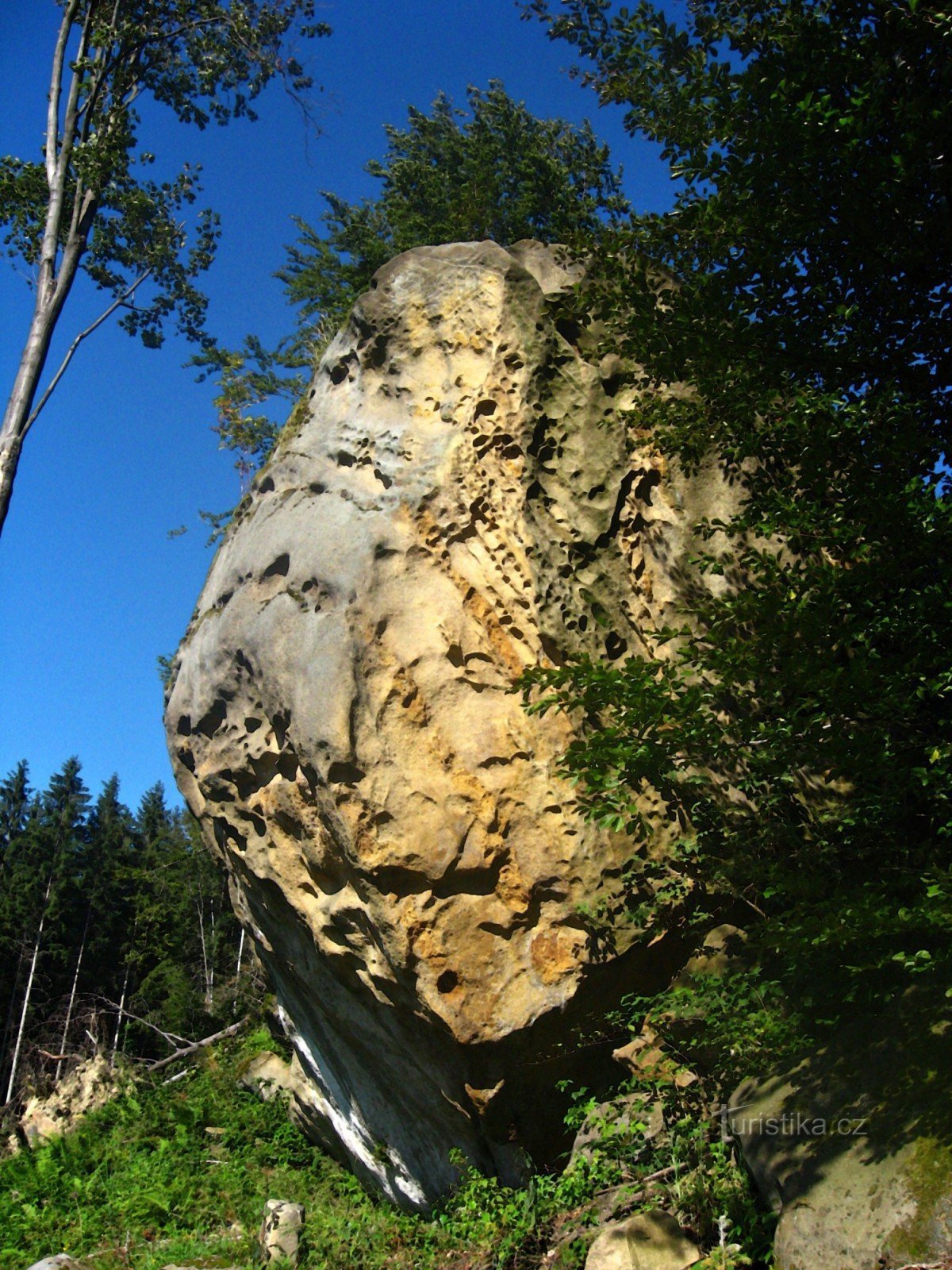 Kopf des Zyklopen