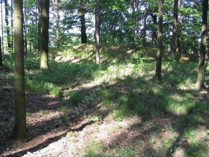 Hlavačov