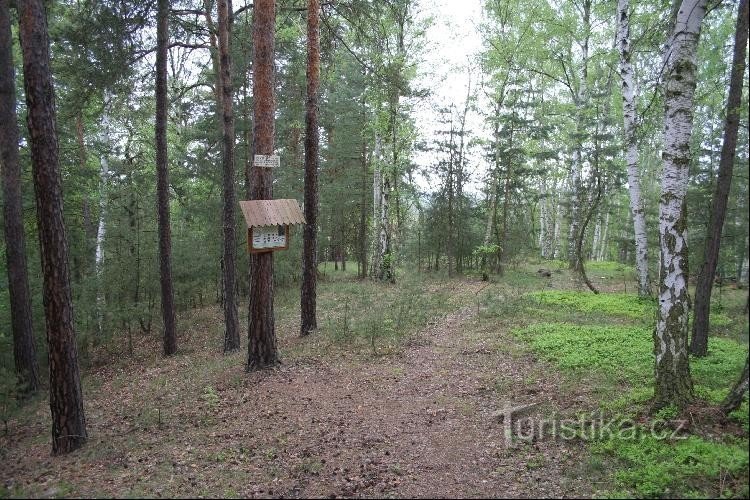 Hlaváčov (Starý hrádek): La existencia del castillo original hoy solo recuerda el relieve del terreno.