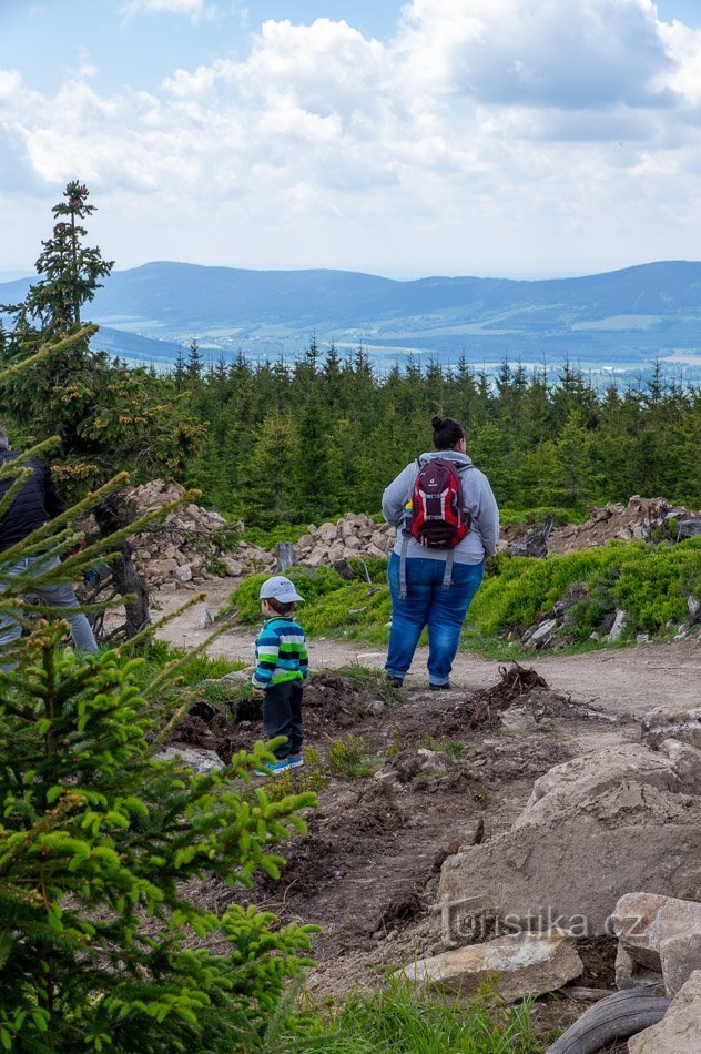 Dolní Morava on rakennettu pääasiassa tällaisille tyypeille