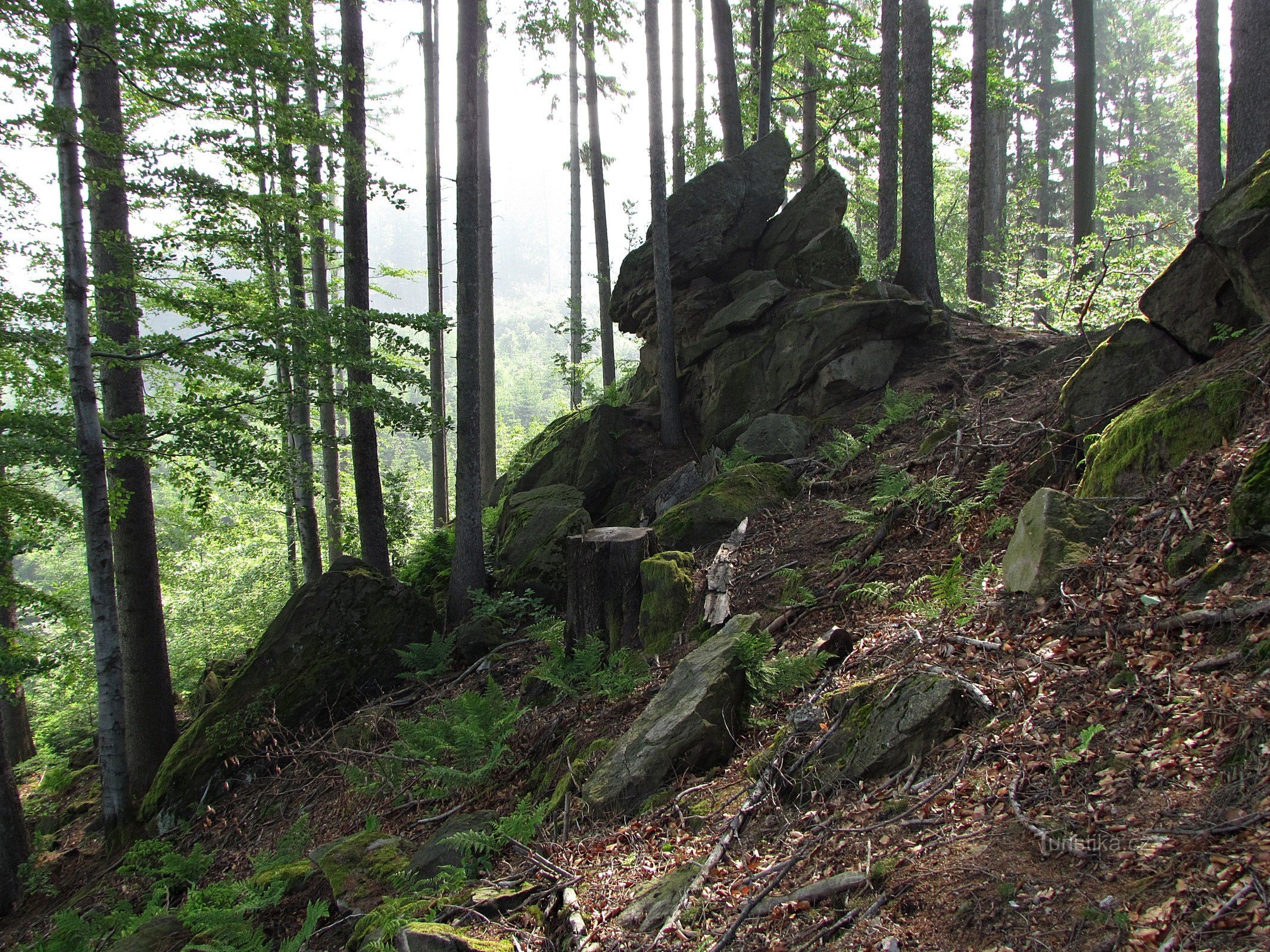 Hauptfelsen