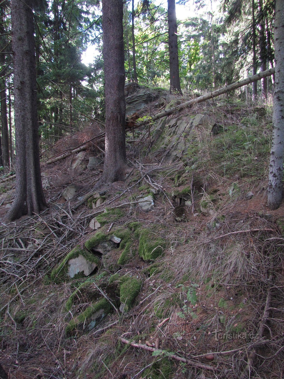 Hauptfelsen