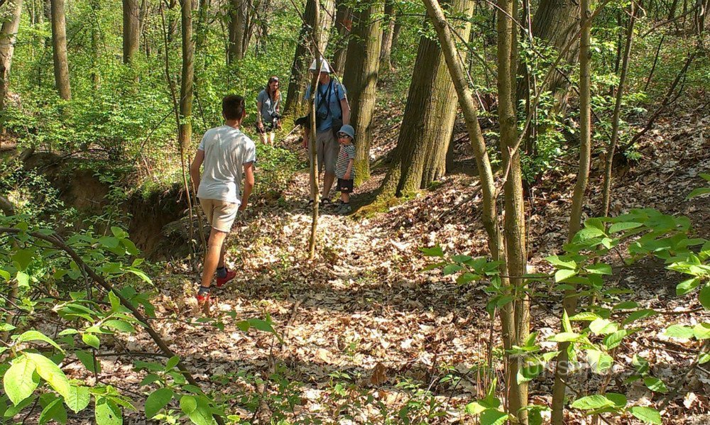 Znalezienie historii rdzennych Amerykanów nad wodospadem