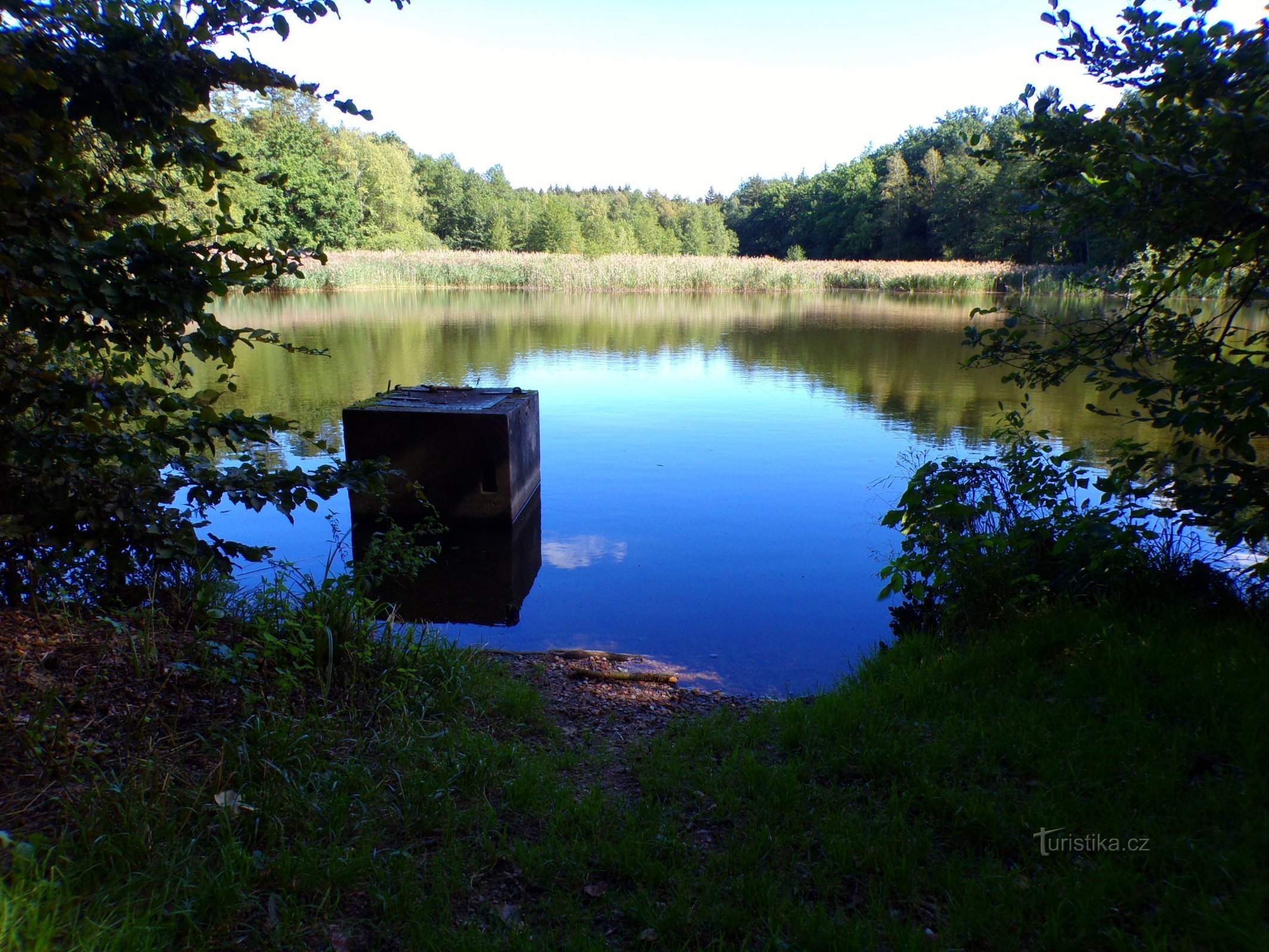 Hlinský rybník (Petrovice nad Orlicí, 1.9.2022.)