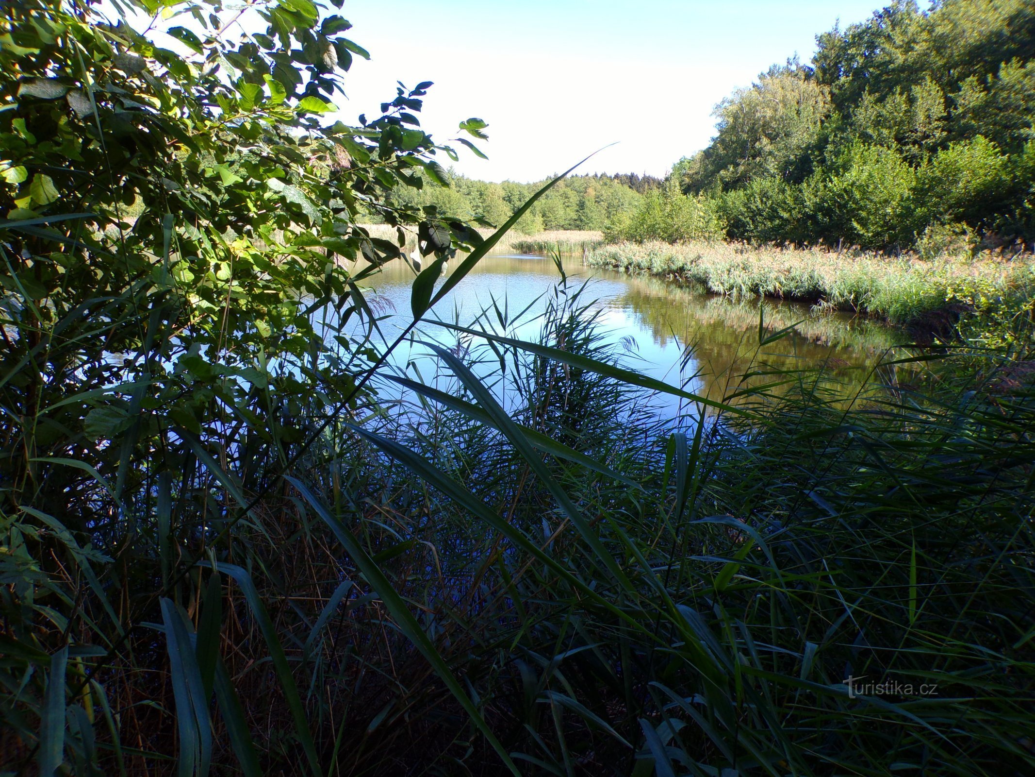 Hlinský rybník (Petrovice nad Orlicí, 1.9.2022)