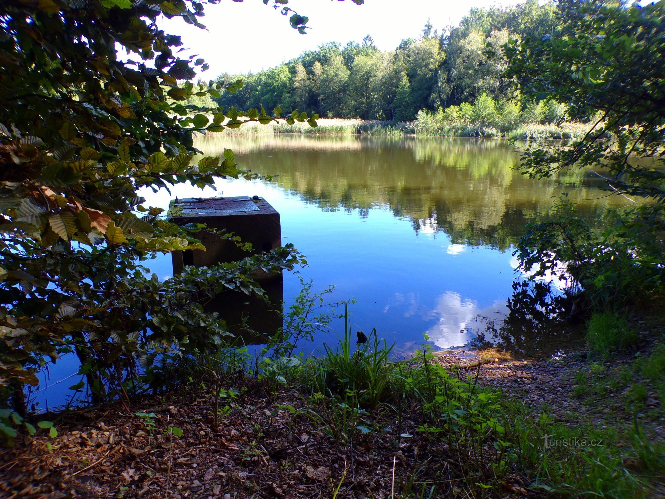 Hlinský rybník (Petrovice nad Orlicí, 1.9.2022.)