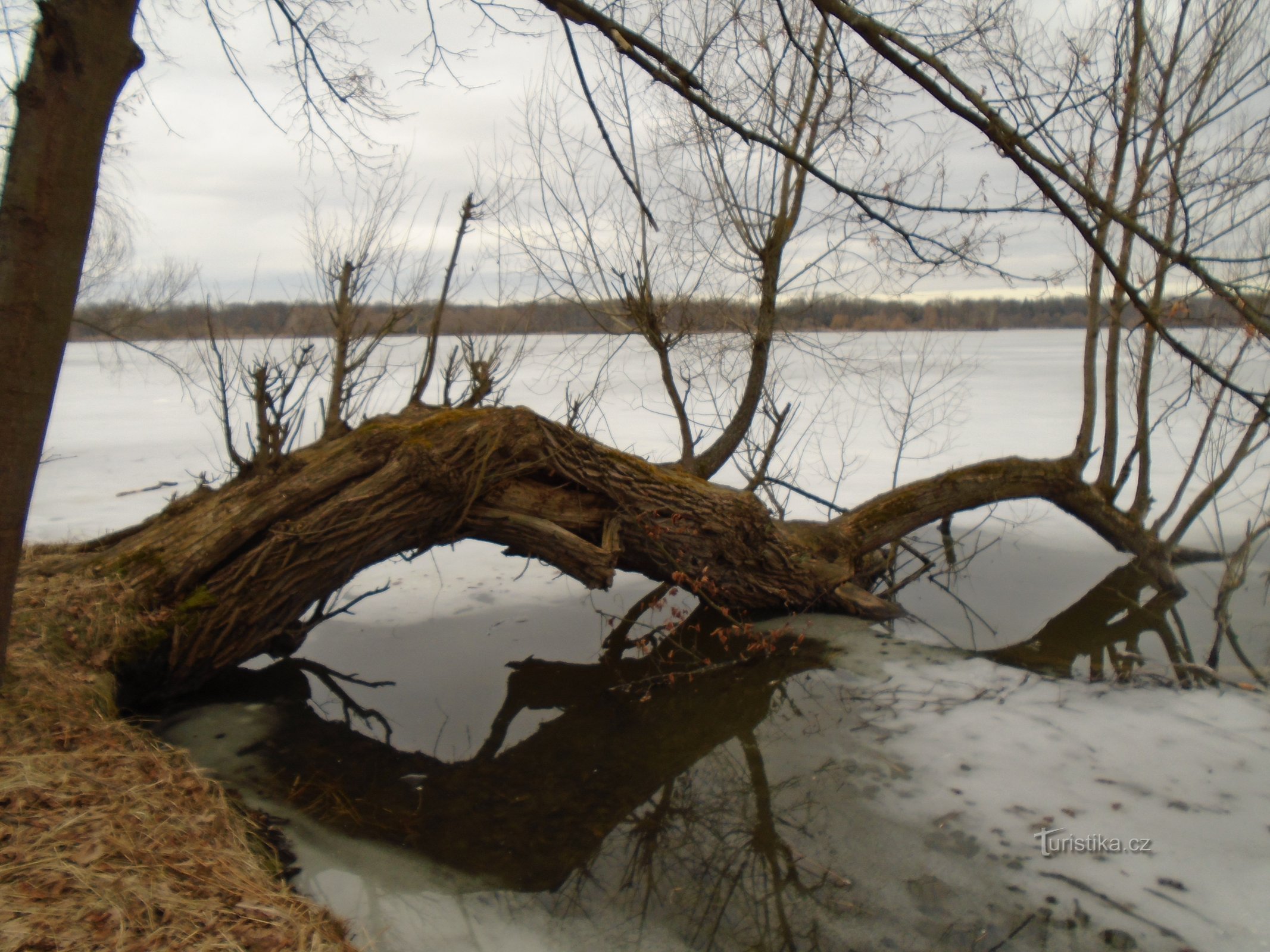 HLUKBÁ OVER VLTAVA - OMKRING MUNICHE DAMMEN