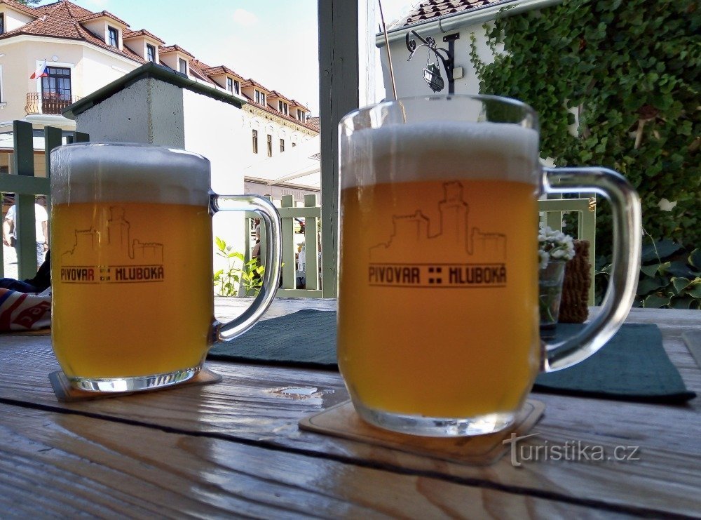 Hluboká nad Vltavou – restaurant Hluboká Brewery en Solidní Chance Inn