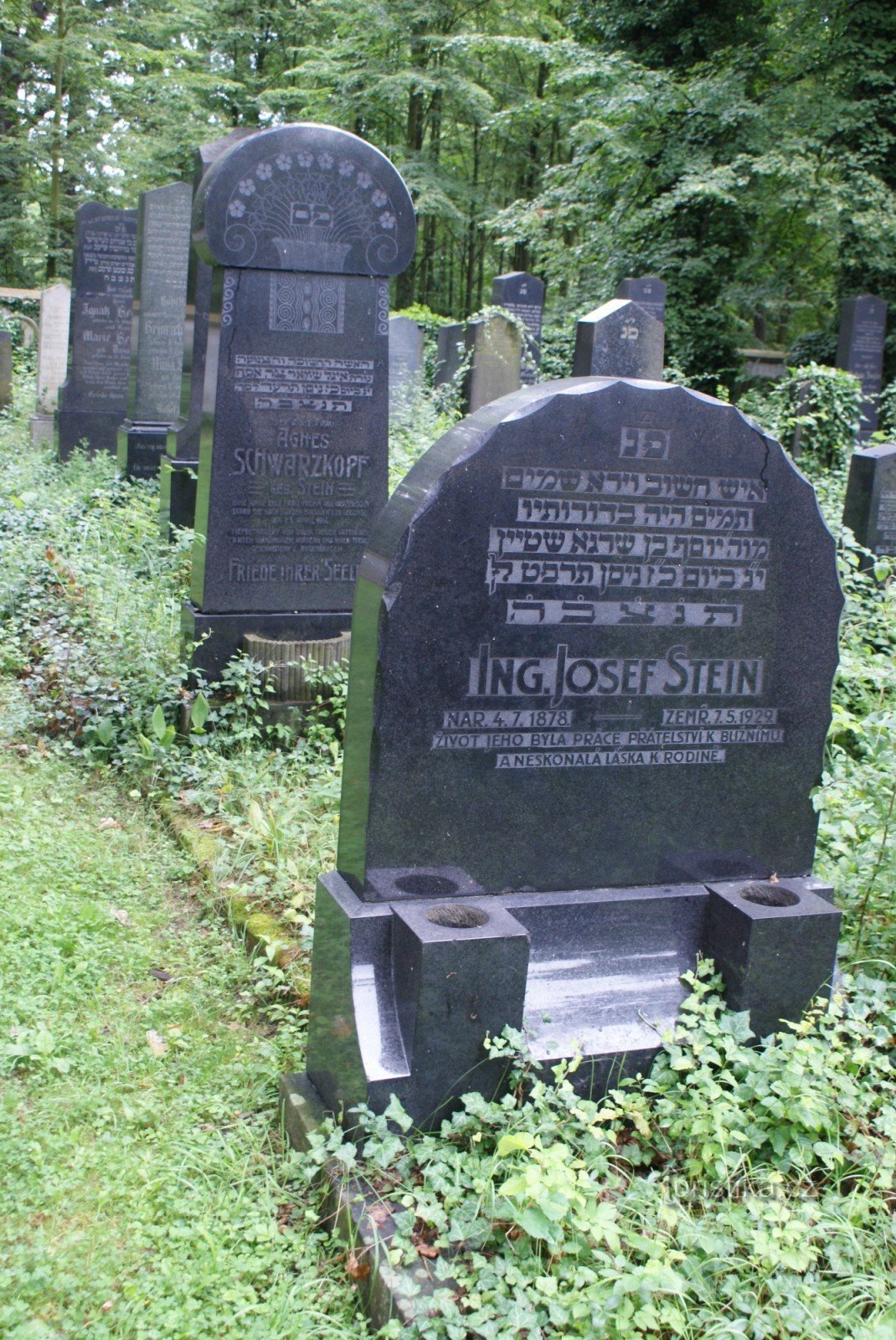 Hluboká nad Vltavou – cimitirul evreiesc