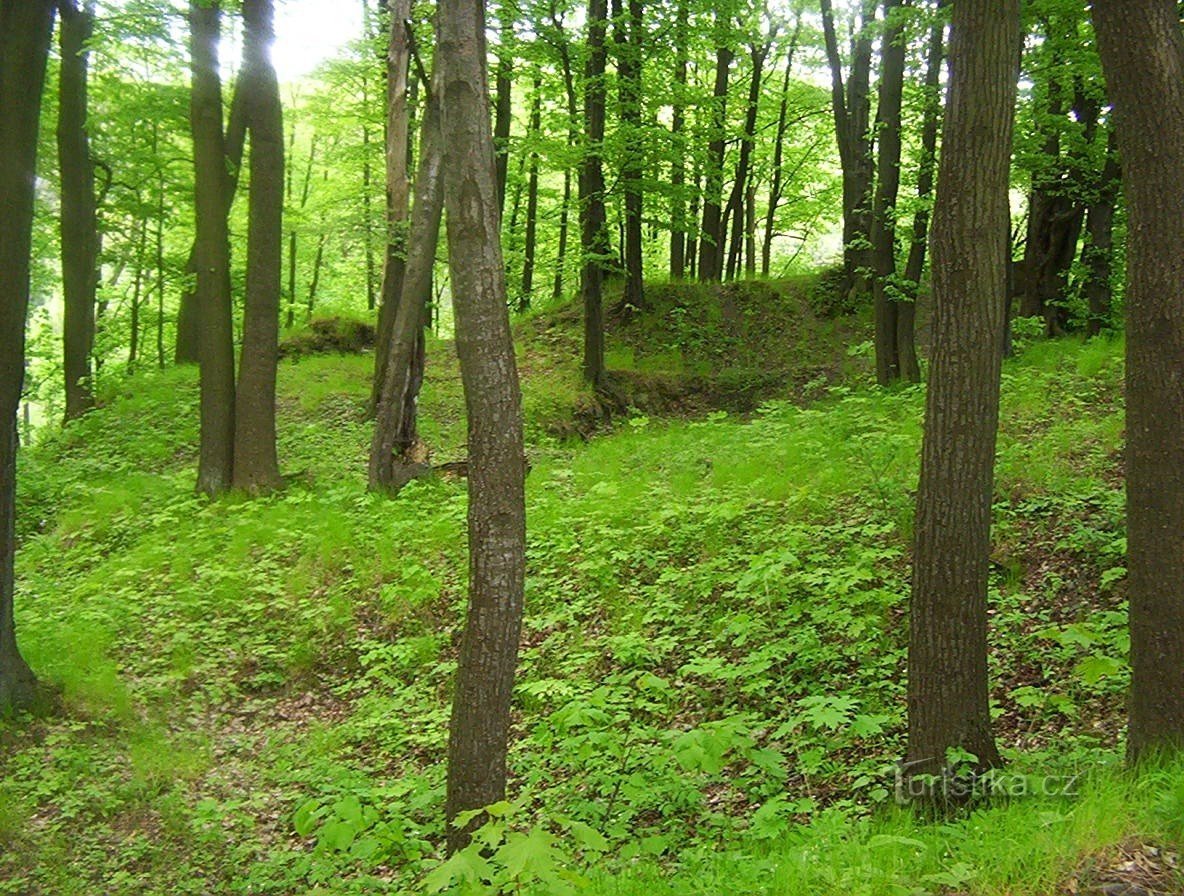 Dyb borgkerne fra nord - Foto: Ulrych Mir.