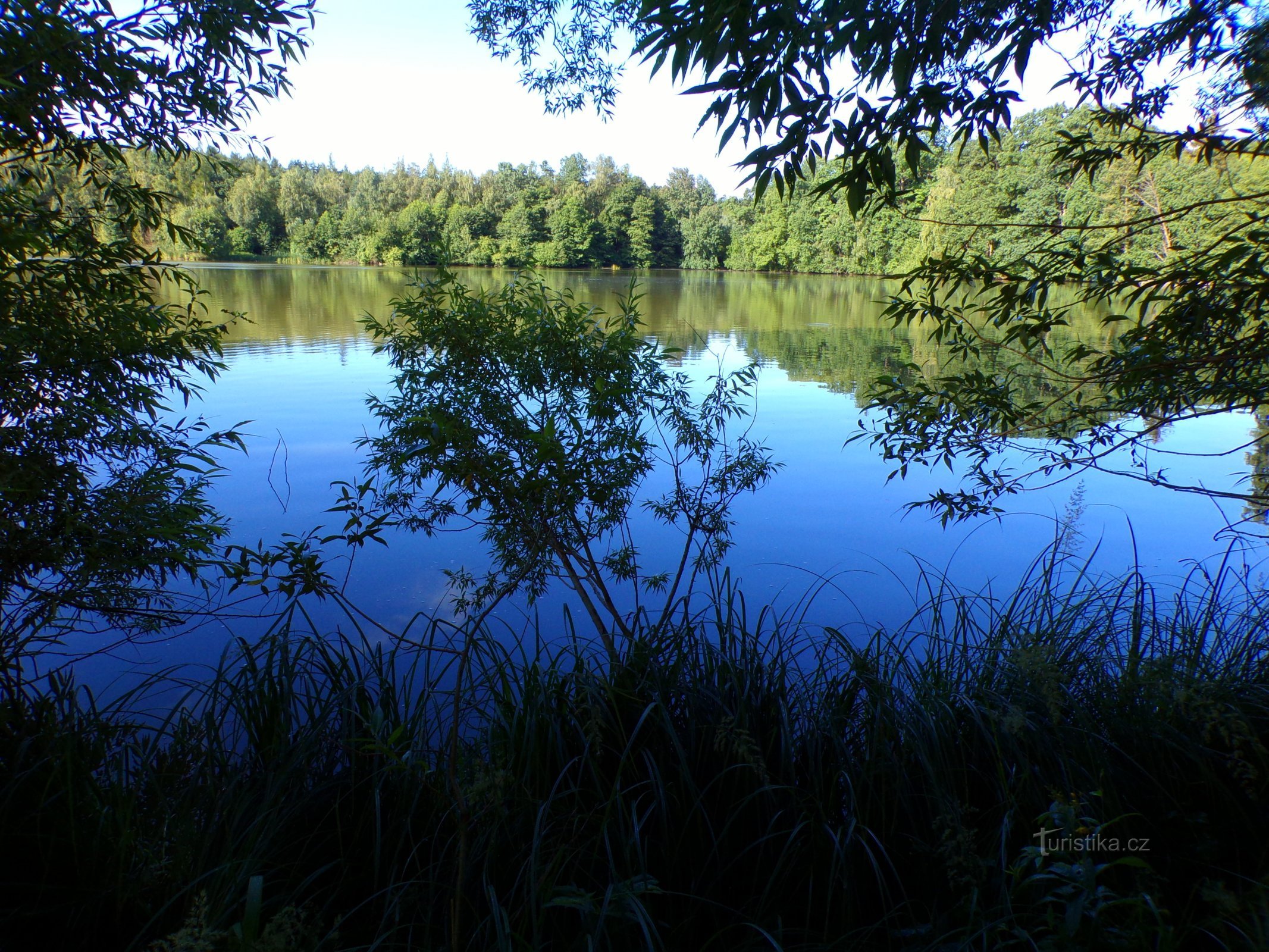 Lagoa profunda (Ledce, 10.7.2022)