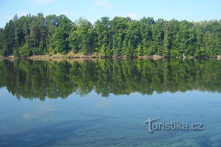 Hněvkovická-dam, Pardovice