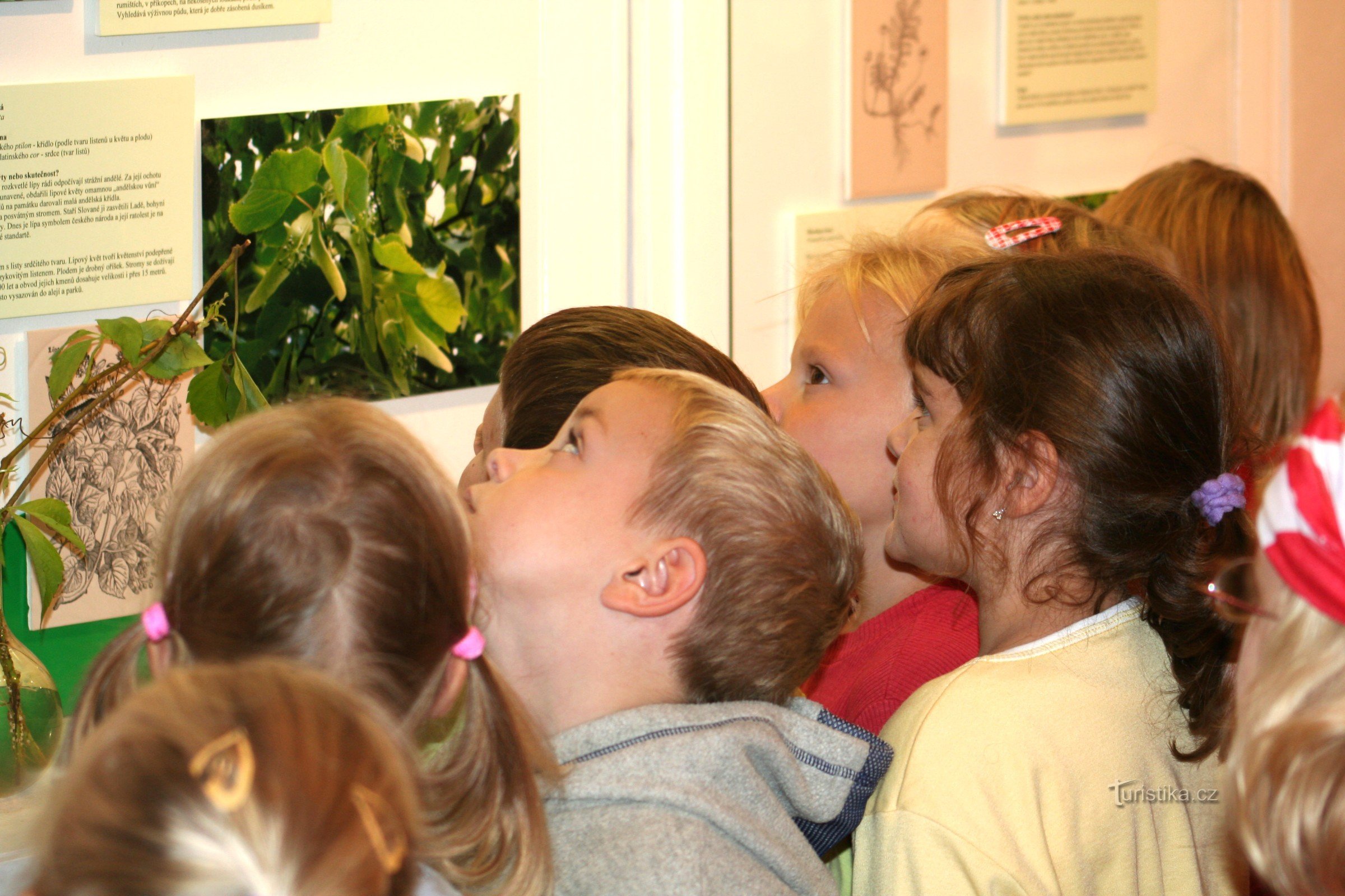 Hallo, hallo, het museum belt de school