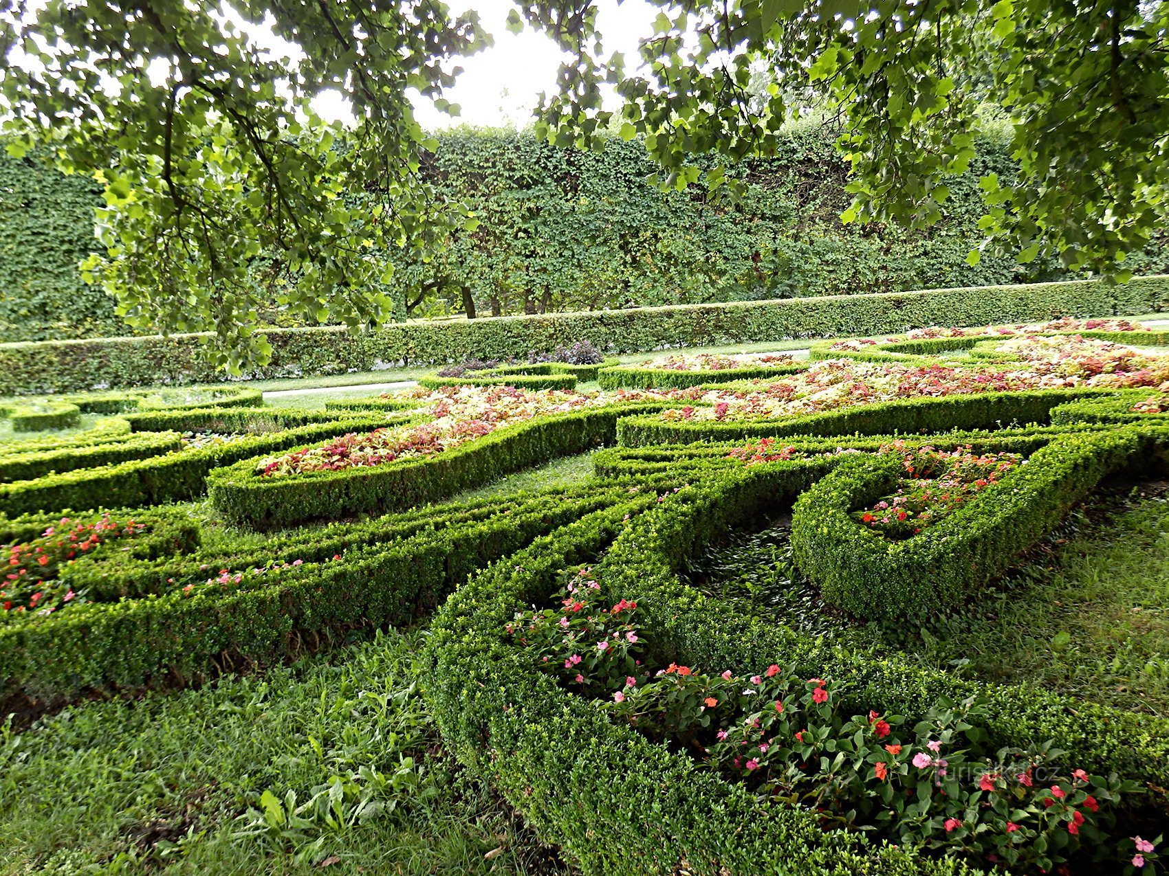 Dutch garden