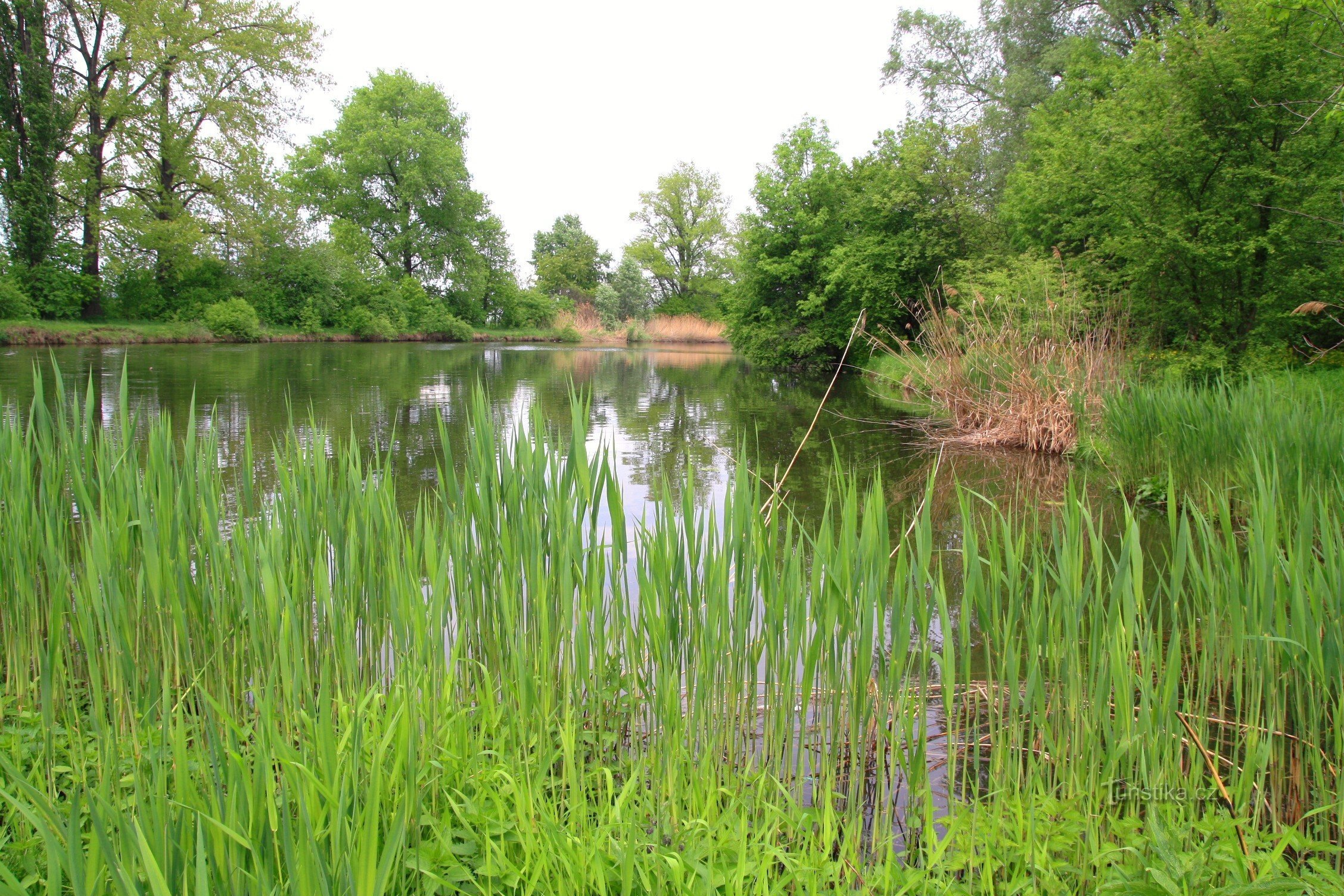 Holásecka lakes