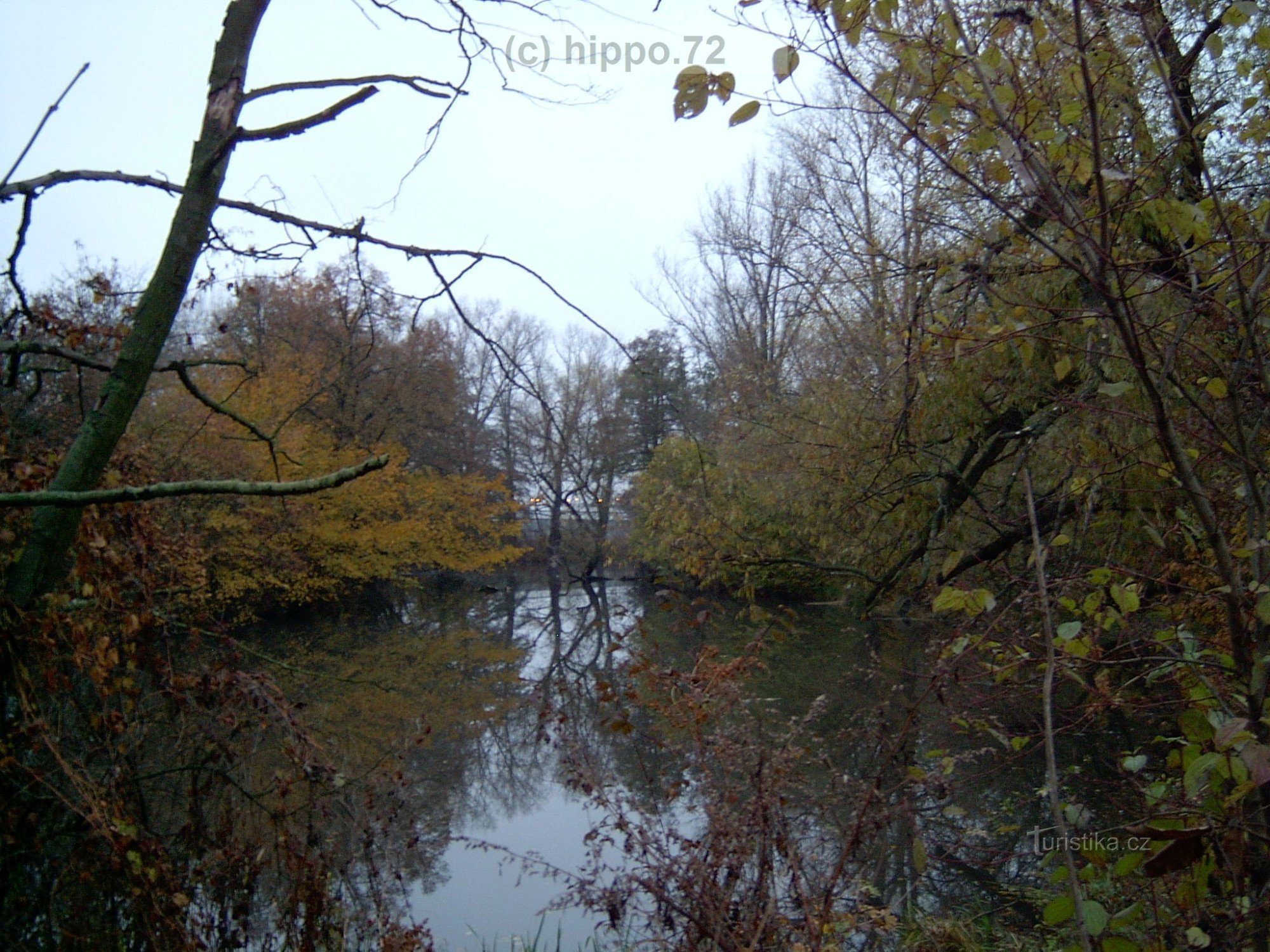 Holásecka lakes - lakes Typfl