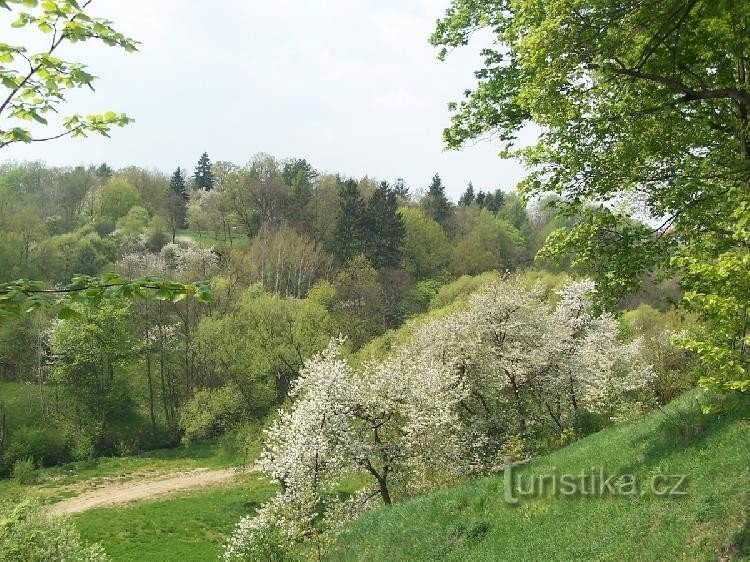 Holečkovy sady - kevät 2006