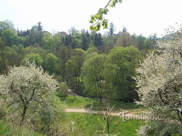 Holečkovy sady - spring 2006