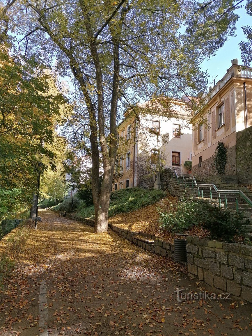 Holečkovy sady in the town of Tábor