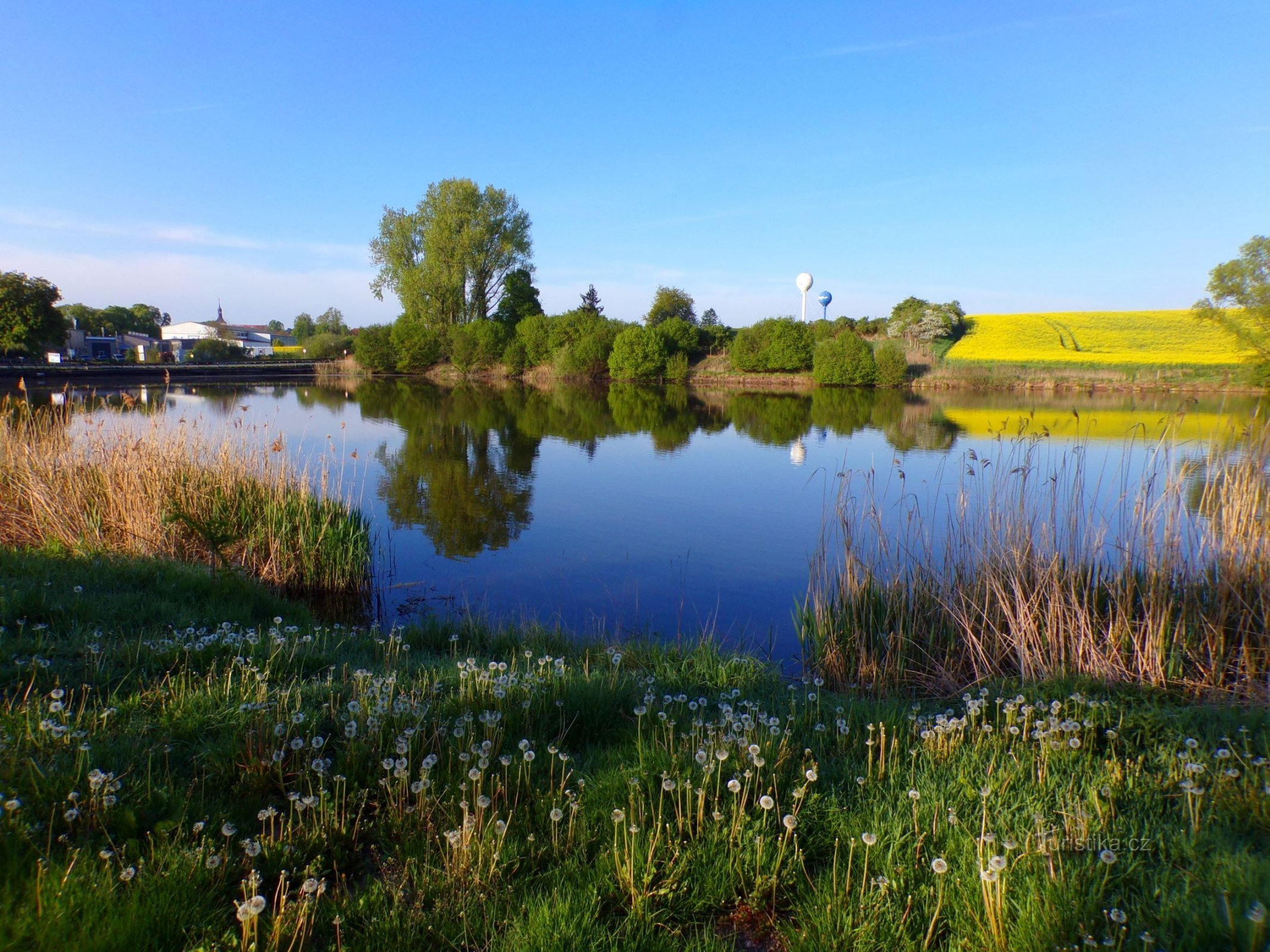 Holohlavský rybník (Holohlavy, 8.5.2022)