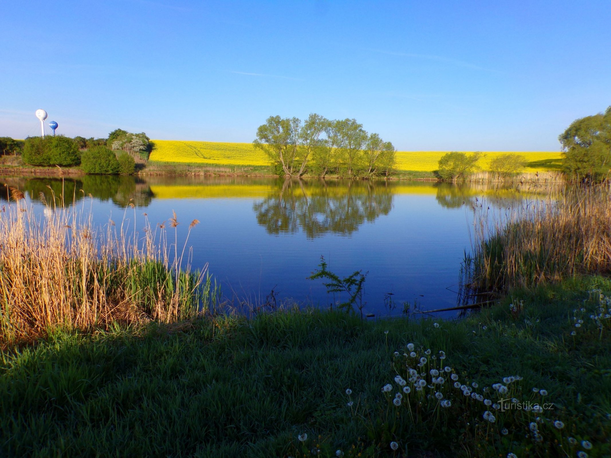 Holohlavský rybník (Holohlavy, 8.5.2022. Mai XNUMX)