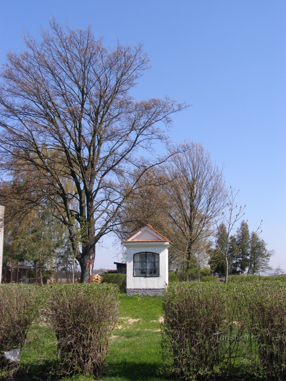 Kahle Köpfe - Kapelle