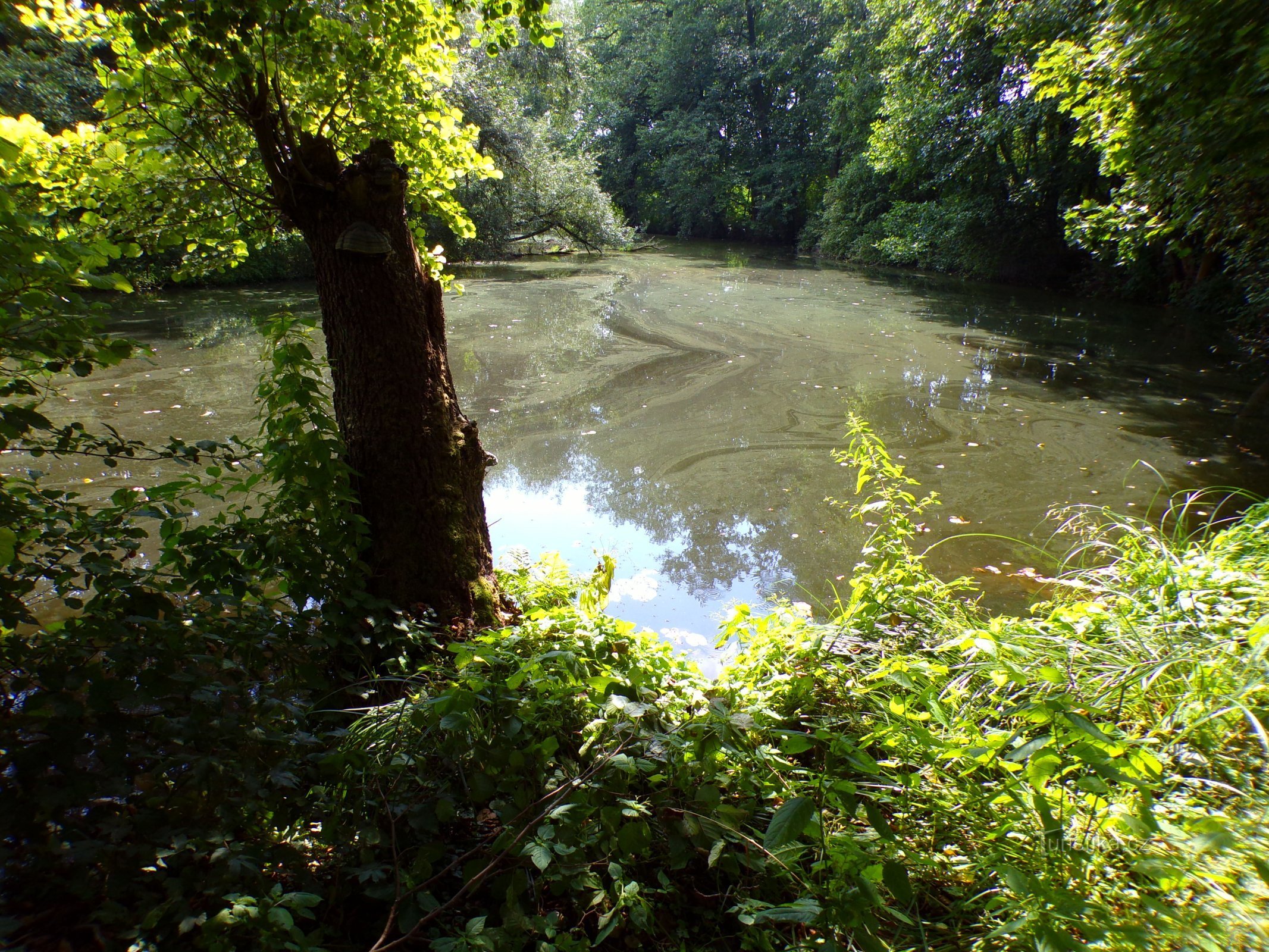 Holštejn (Hradec Králové, 25.8.2022)