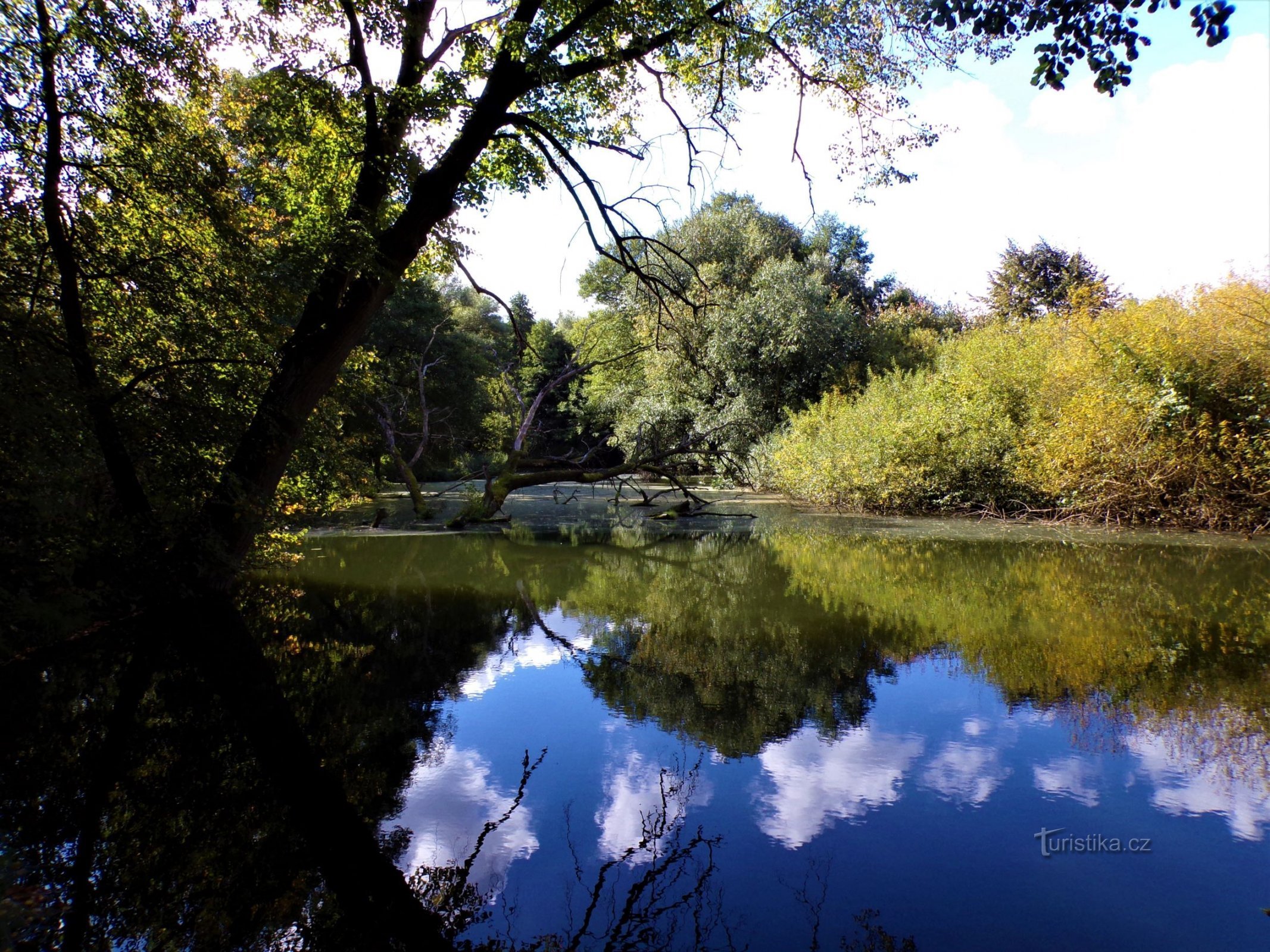 Голштейн (Градец Кралове, 30.9.2021)