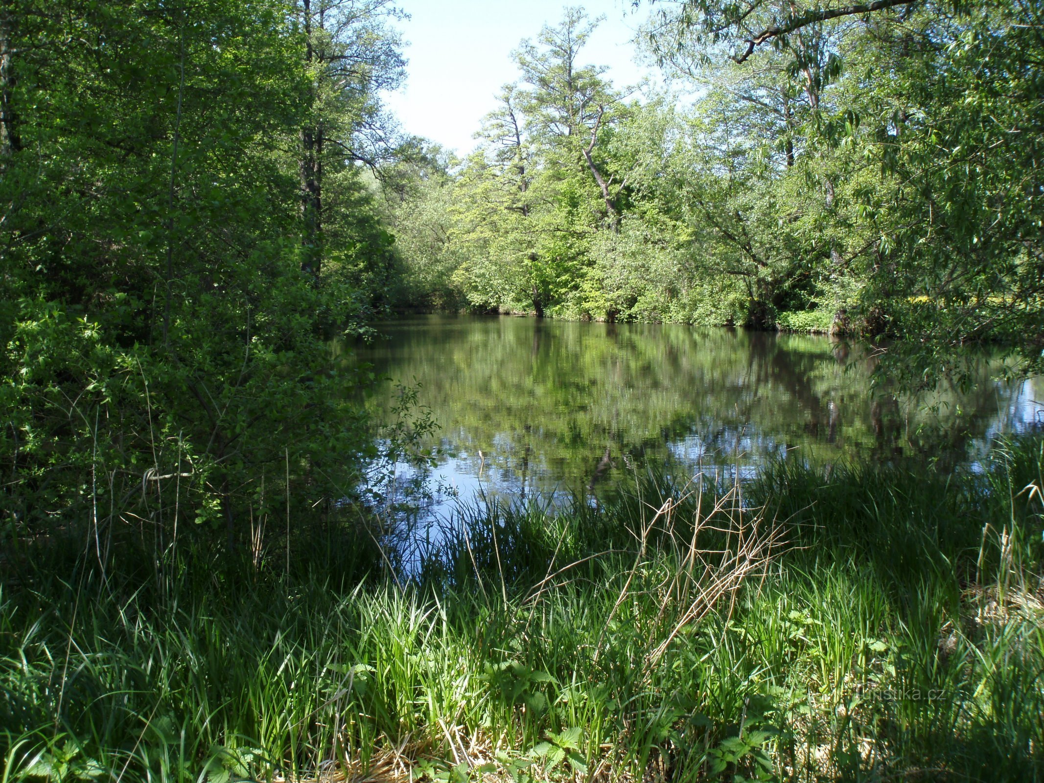 Holstein (Šlesko predgrađe)