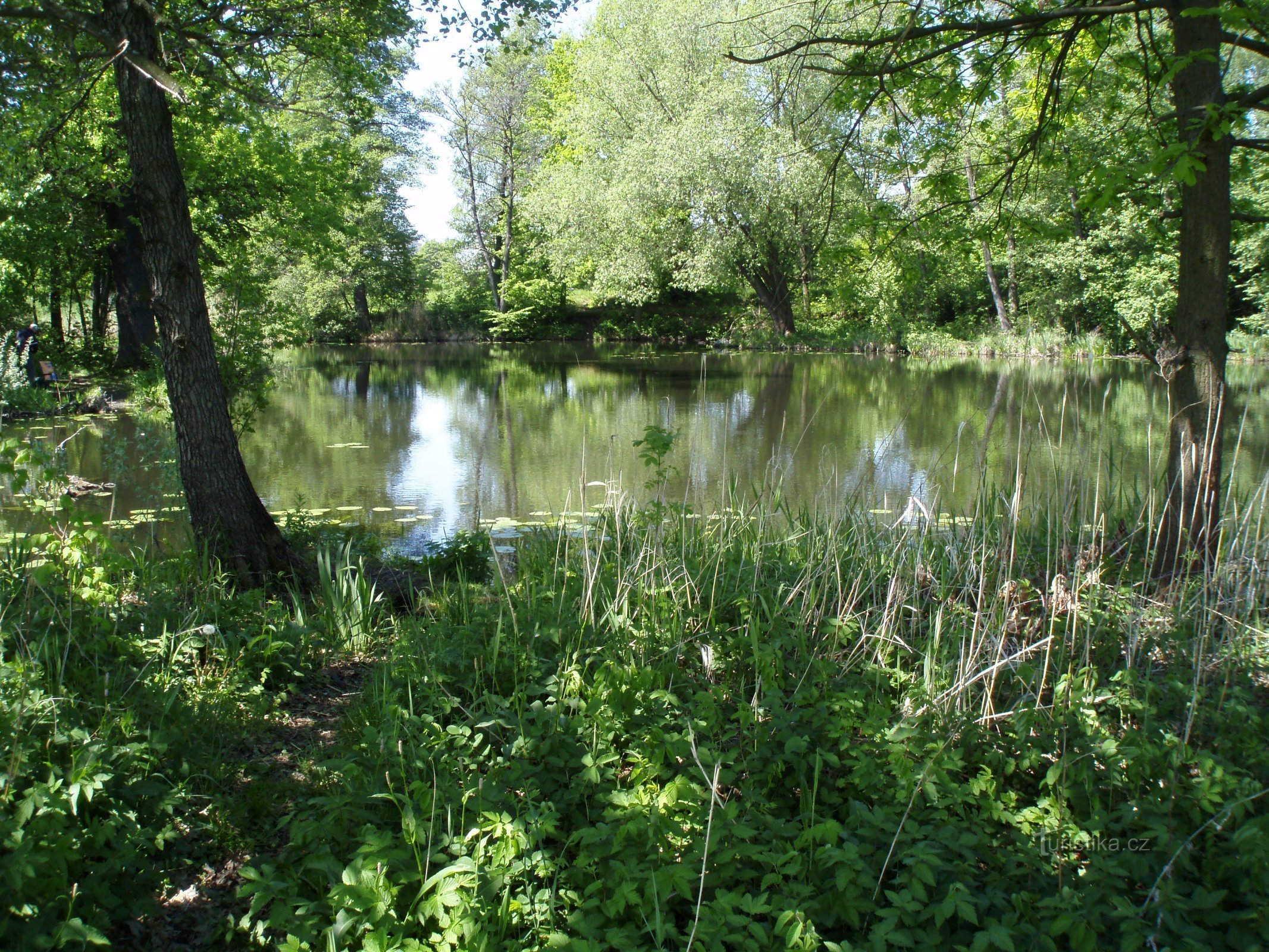 Holsztyn (Przedmieście Śląskie)