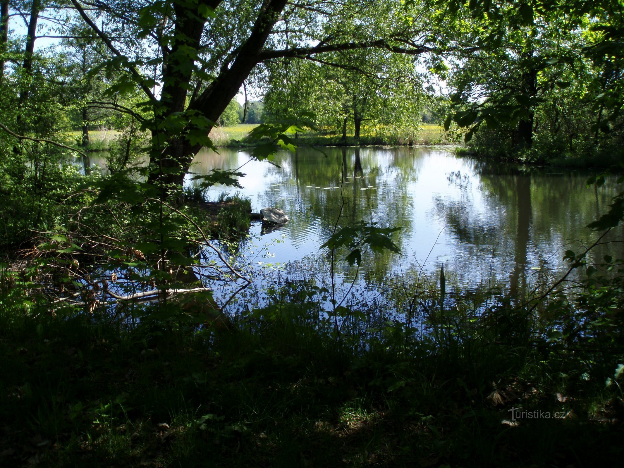 Holstein (banlieue silésienne)