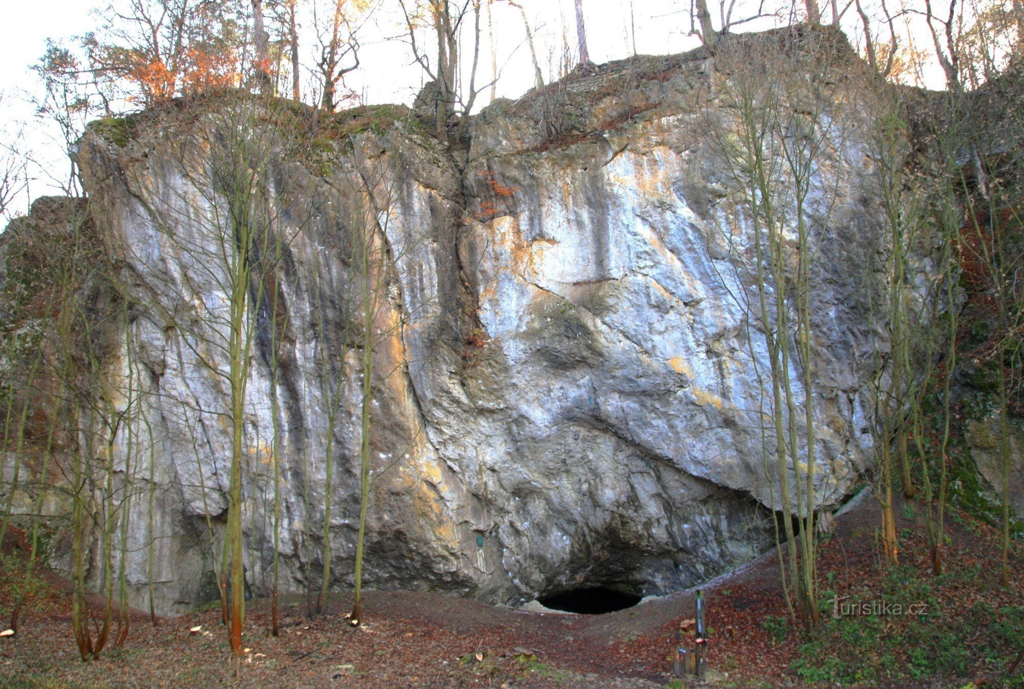 Holstein rock