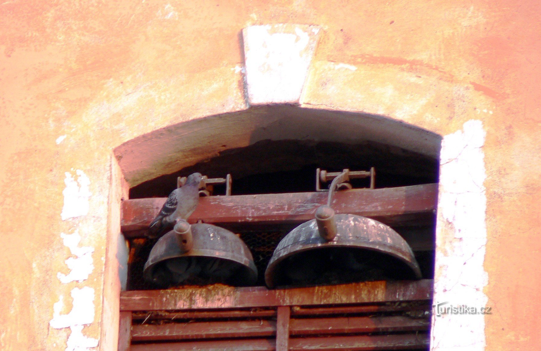 piccione - l'utente odierno del campanile della chiesa