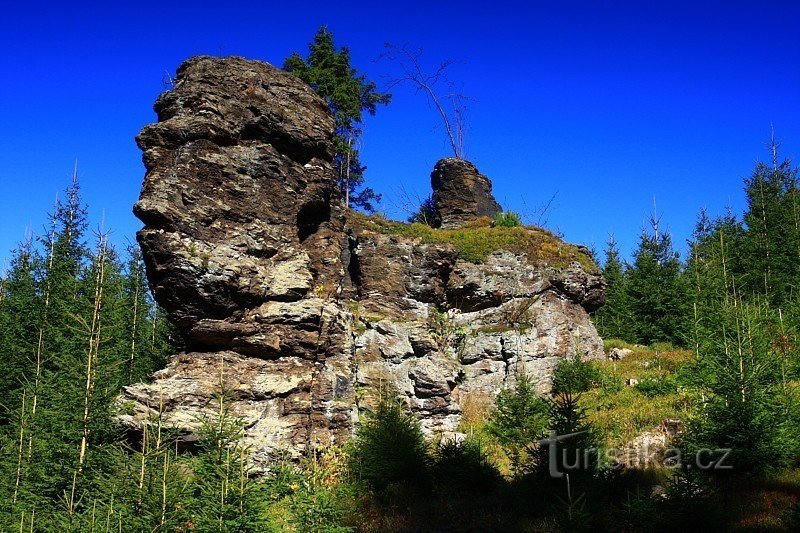 Rochas de pombo.