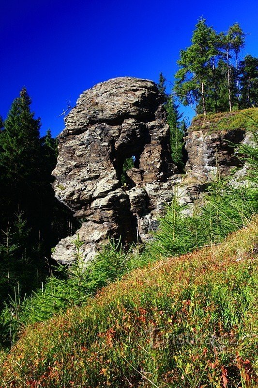 Pigeon rockery rock vindue.