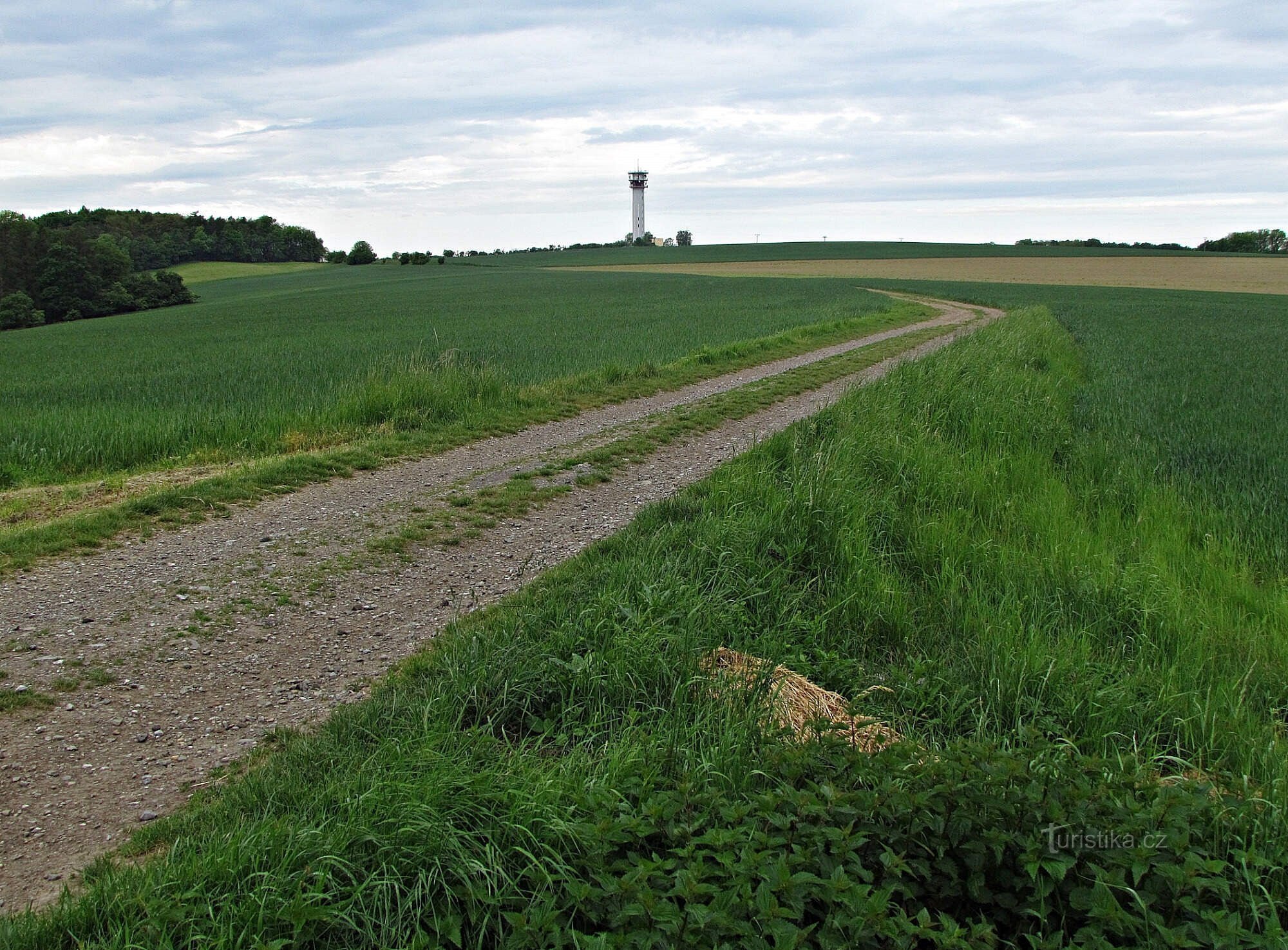 Goli hrib - greben z razgledom