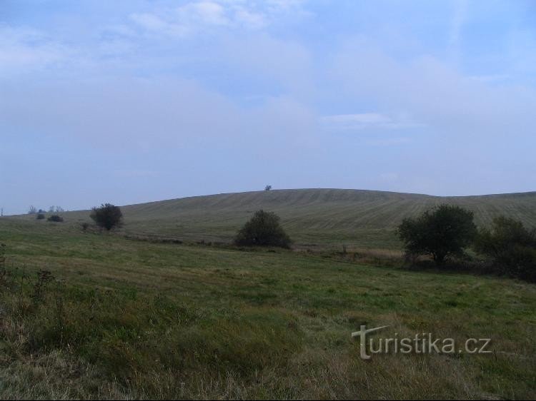 Bare Hill