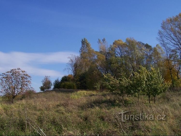 Hončova hůrka: Vista da colina