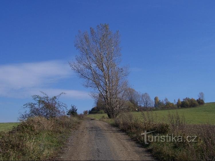 Hončova hůrka: Vista da colina